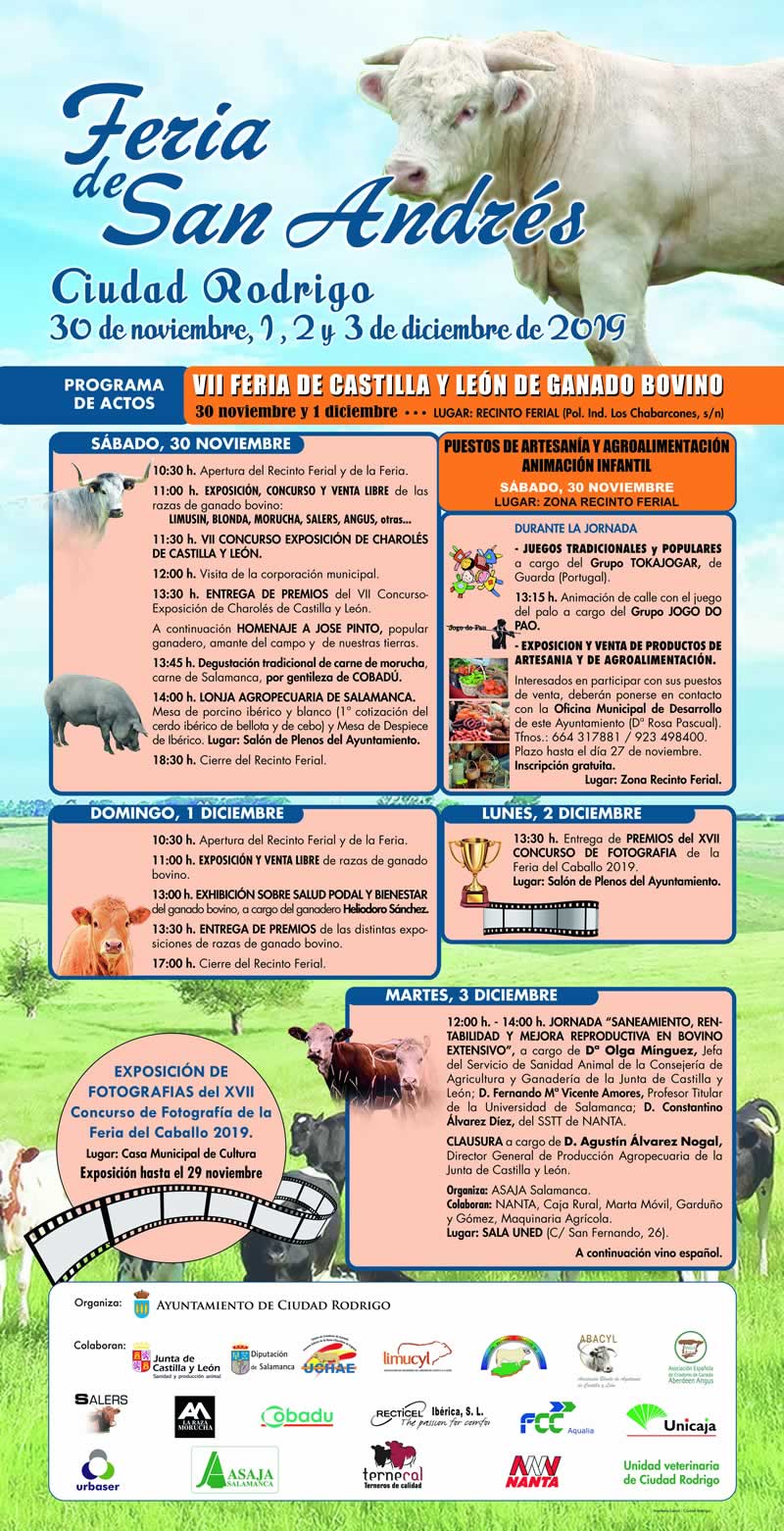 CARTEL FERIA SAN ANDRES 2019