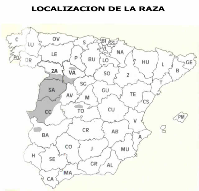 mapa morucha