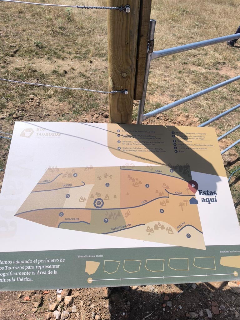 un mapa para un paseo por el parque - morucha