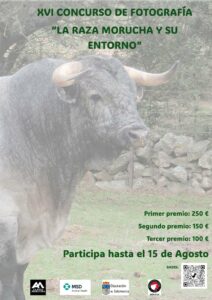 XVI Concurso de fotografía de la raza morucha y su entorno